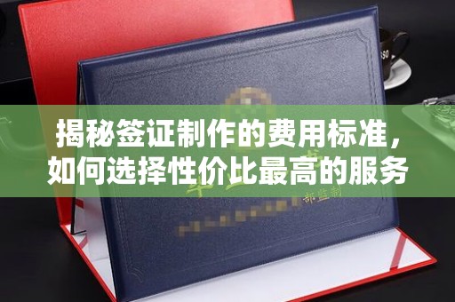 上思揭秘签证制作的费用标准，如何选择性价比最高的服务？