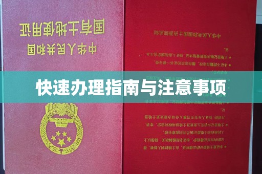 上思快速办理指南与注意事项